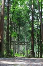 Yokoyama JinjaÃ£â¬â¬Shinto shrine in Shiga Pref, Japan